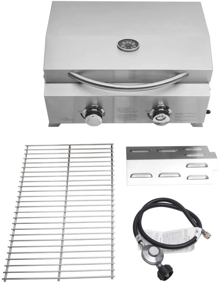 2-Burner Portable Tabletop Propane Gas Grill in Stainless Steel