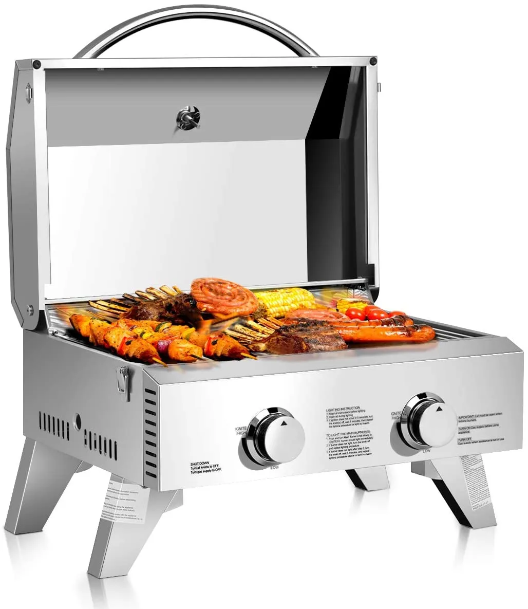 2-Burner Portable Tabletop Propane Gas Grill in Stainless Steel