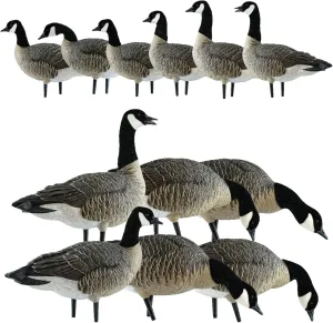 Avian AXP Honkers Fusion Pack Lesser 5 Oversized Active Goose Decoy Bundled with Lesser 6 Piece Fusion Pack with Realistic Design for Outdoor Hunting