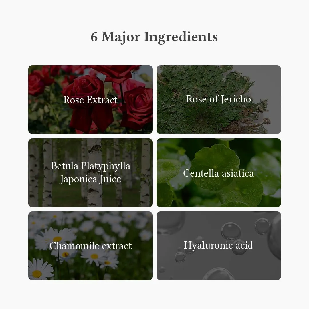 Dr.Althea Oasis Soothing Mask | Helps Relieve Redness with Centella | Moisturize and Even Skin Tone | For Acne-Prone and Sensitive Skin | Vegan Korean Sheet Mask | Pack of 5