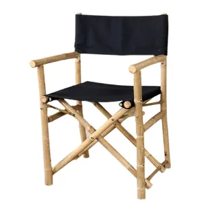 Fishing director chair