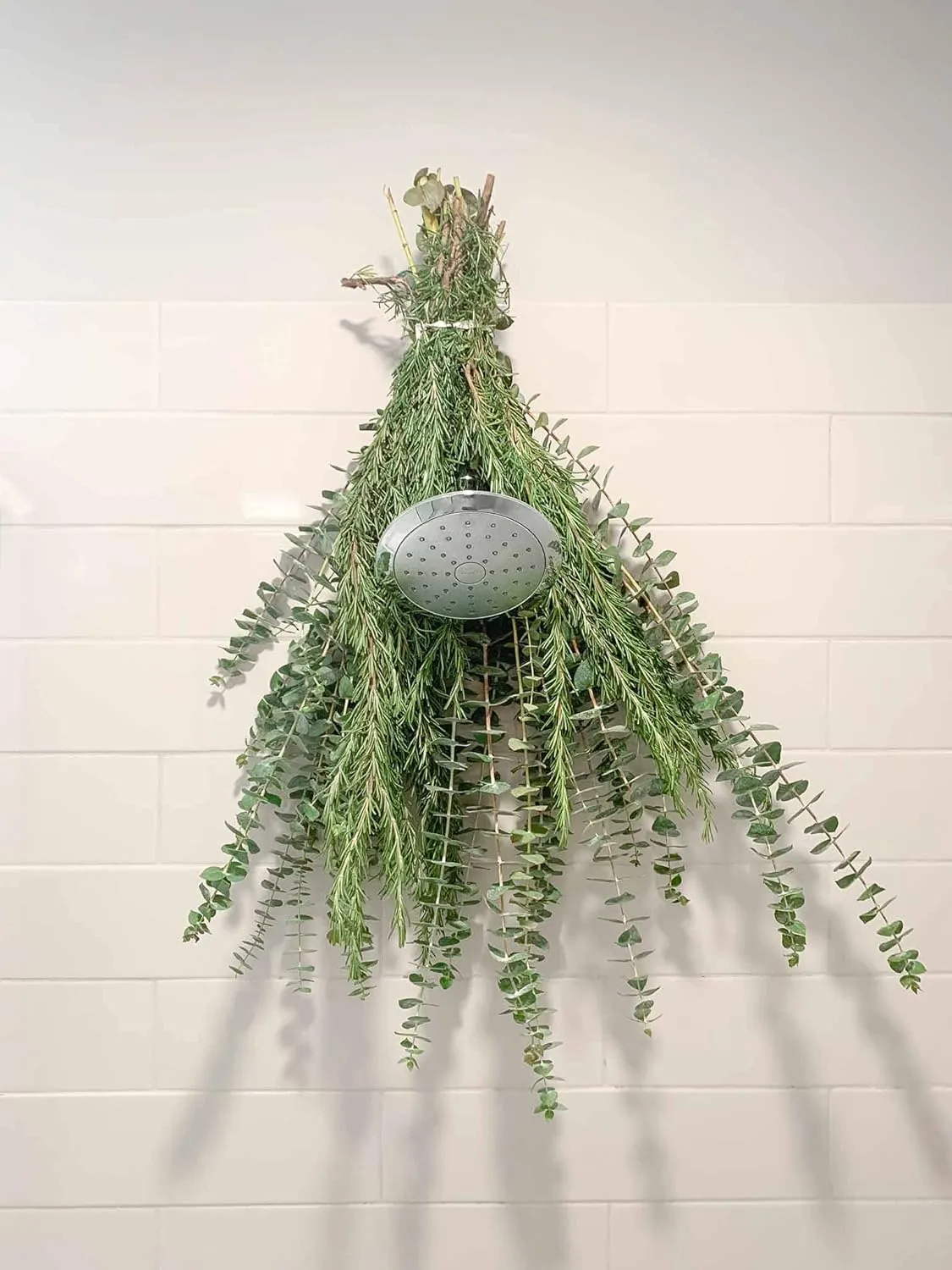 Fresh Eucalytpus and Rosemary Bouquet for Shower | Fresh and Aromatic Rosemary | Fresh and Fragrant Eucalyptus | 100% Natural | Self-Care Shower Hanging Plant Picked From Our Farm In San Diego