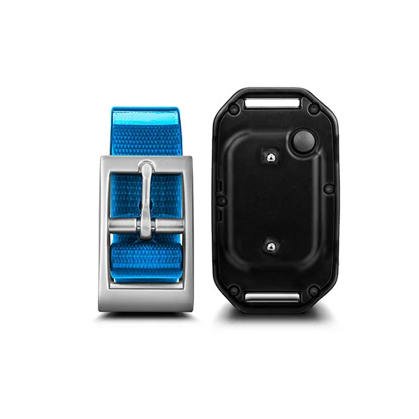 Garmin PT 10 Dog Device Training Collar