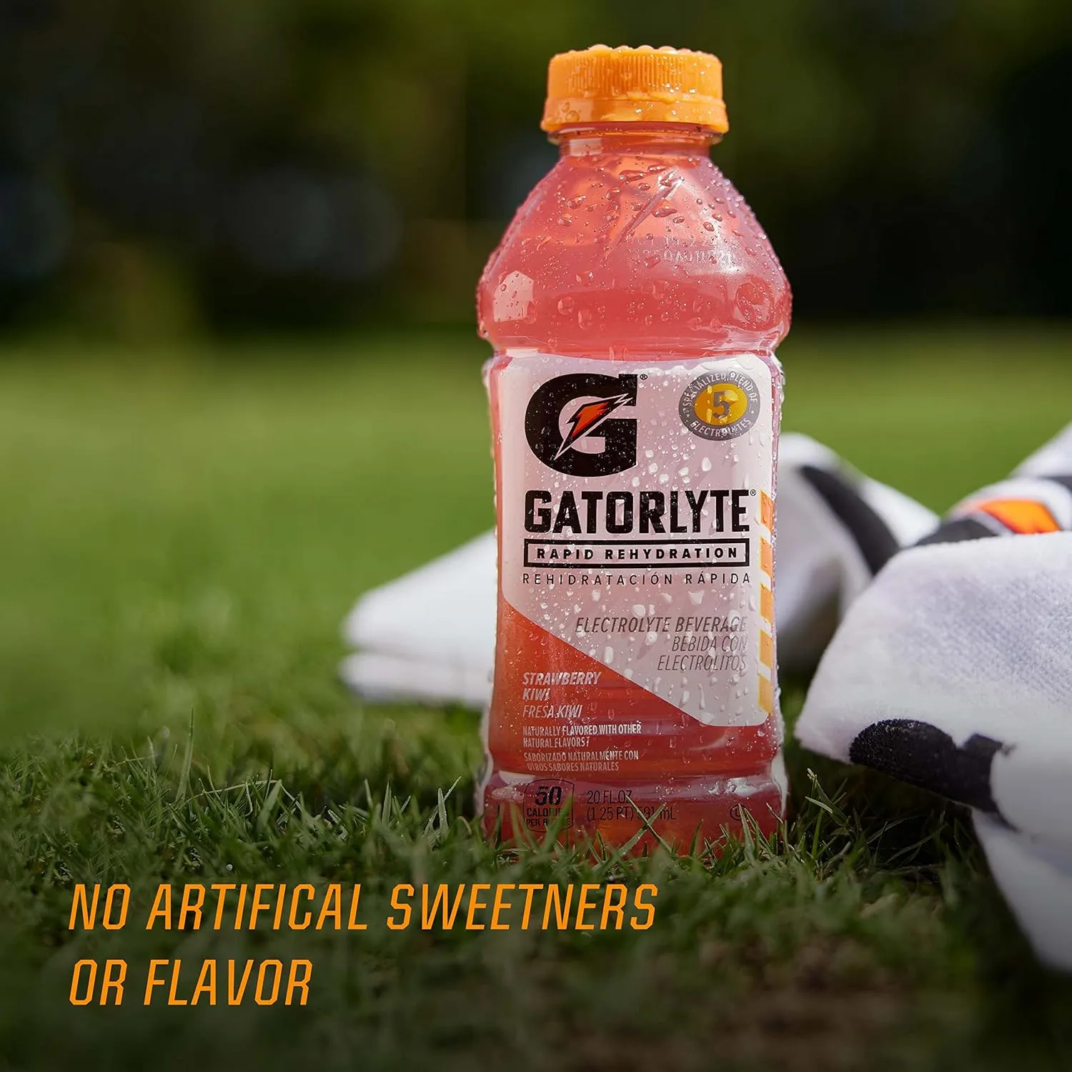 Gatorade Rapid Rehydration Electrolyte Beverage, 3 Flavor Variety Pack, 20 Fl Oz (Pack of 12)