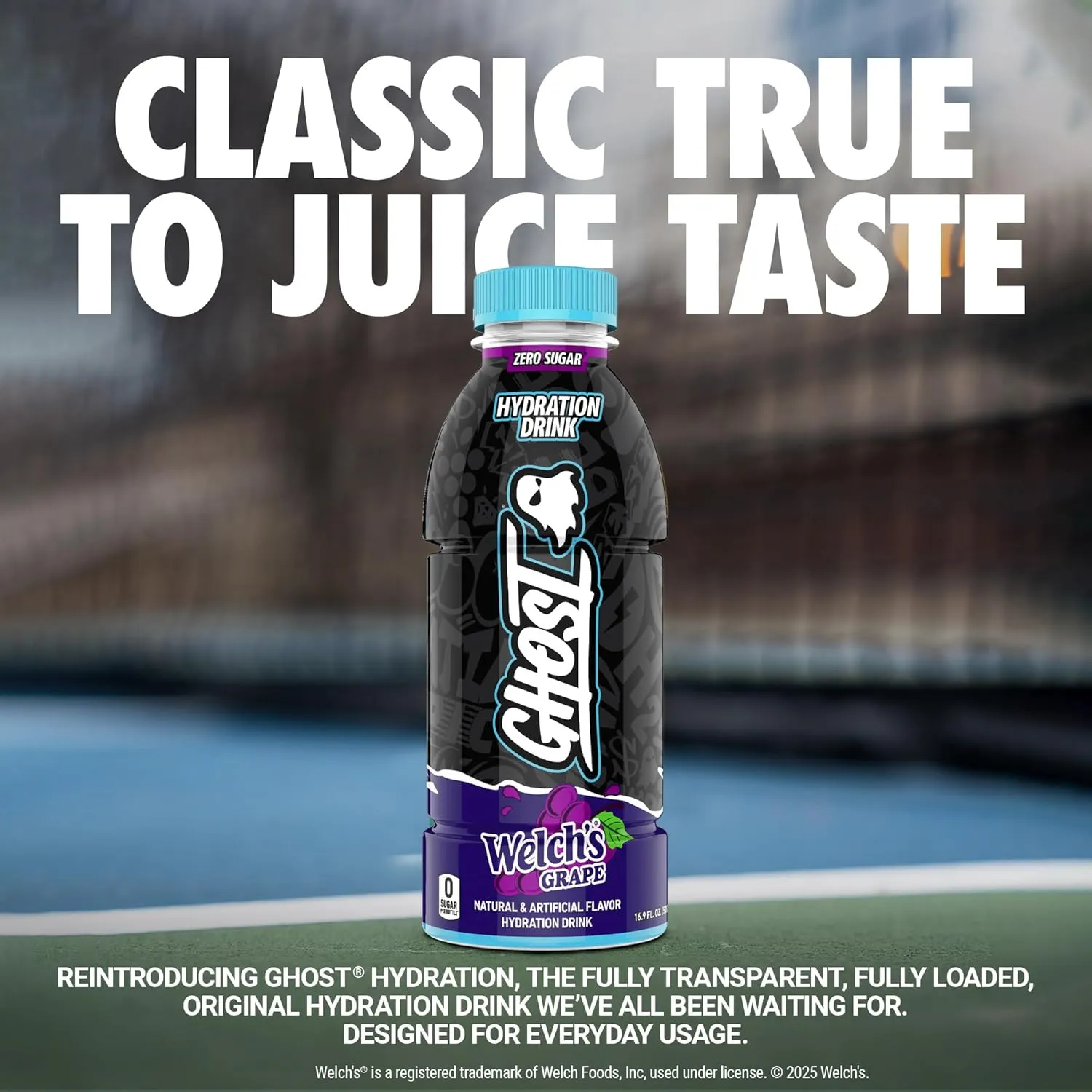 GHOST Hydration Drink, Welch’s Grape - RTD Sports Drink with Electrolytes, Natural Vitamins & Minerals - All Day Lifestyle Hydration Beverage - Zero Caffeine & Zero Sugars - 16.9 Fl Oz, 12 Pack