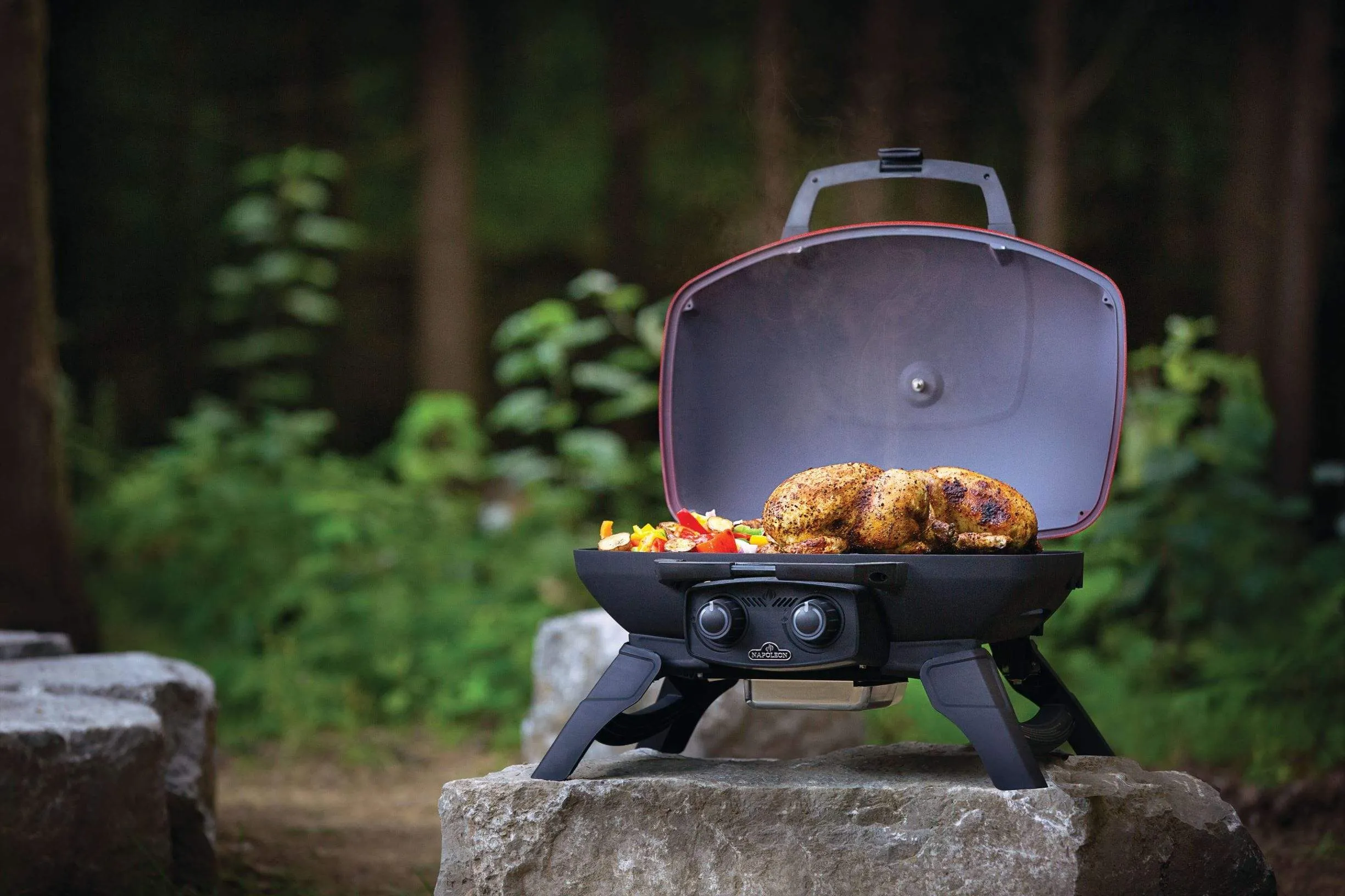 Griddle with Diverse categories (Red) TravelQ All-in-one solution Napoleon Propane 285 Portable BBQ