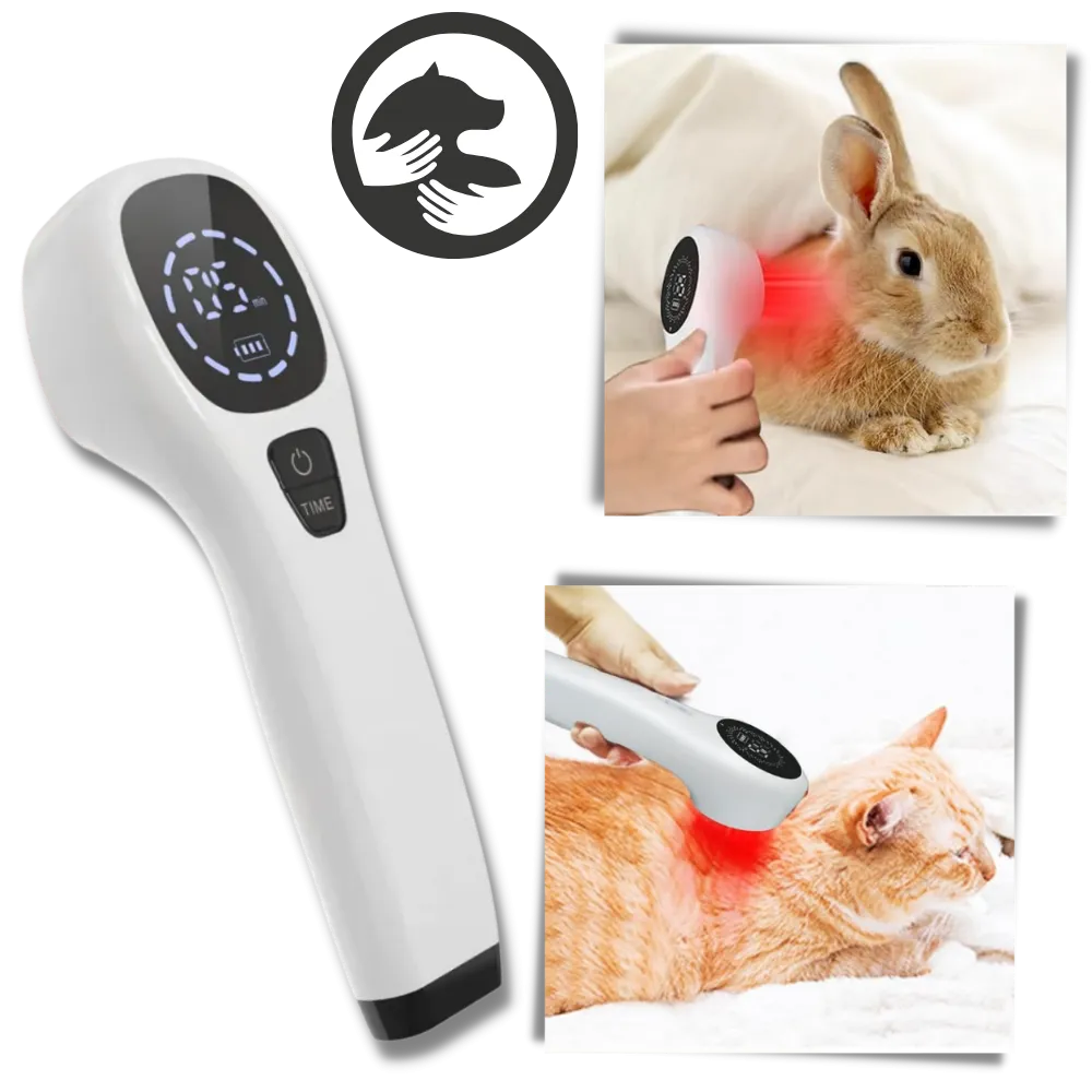 Handheld Infrared Therapy Device for Pet
