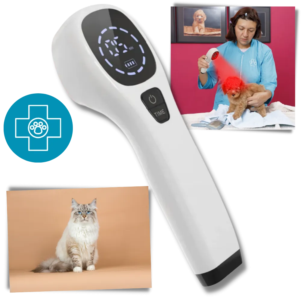 Handheld Infrared Therapy Device for Pet