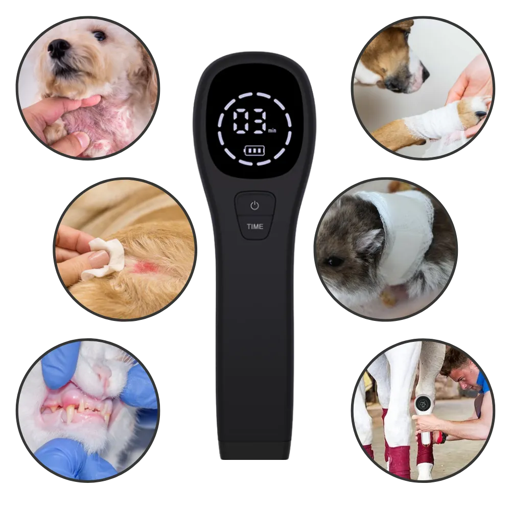 Handheld Infrared Therapy Device for Pet