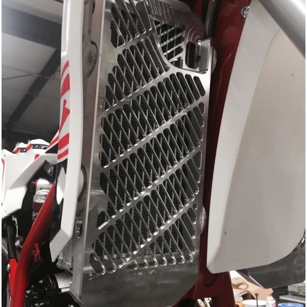 Motorcycle radiator grille, 2023 2022 2021 2020 300 RR Motorcycle Radiator Guard Protector Grille Grill Cover For BETA BE TA 300RR 2T Race Edition/300 RR 2T