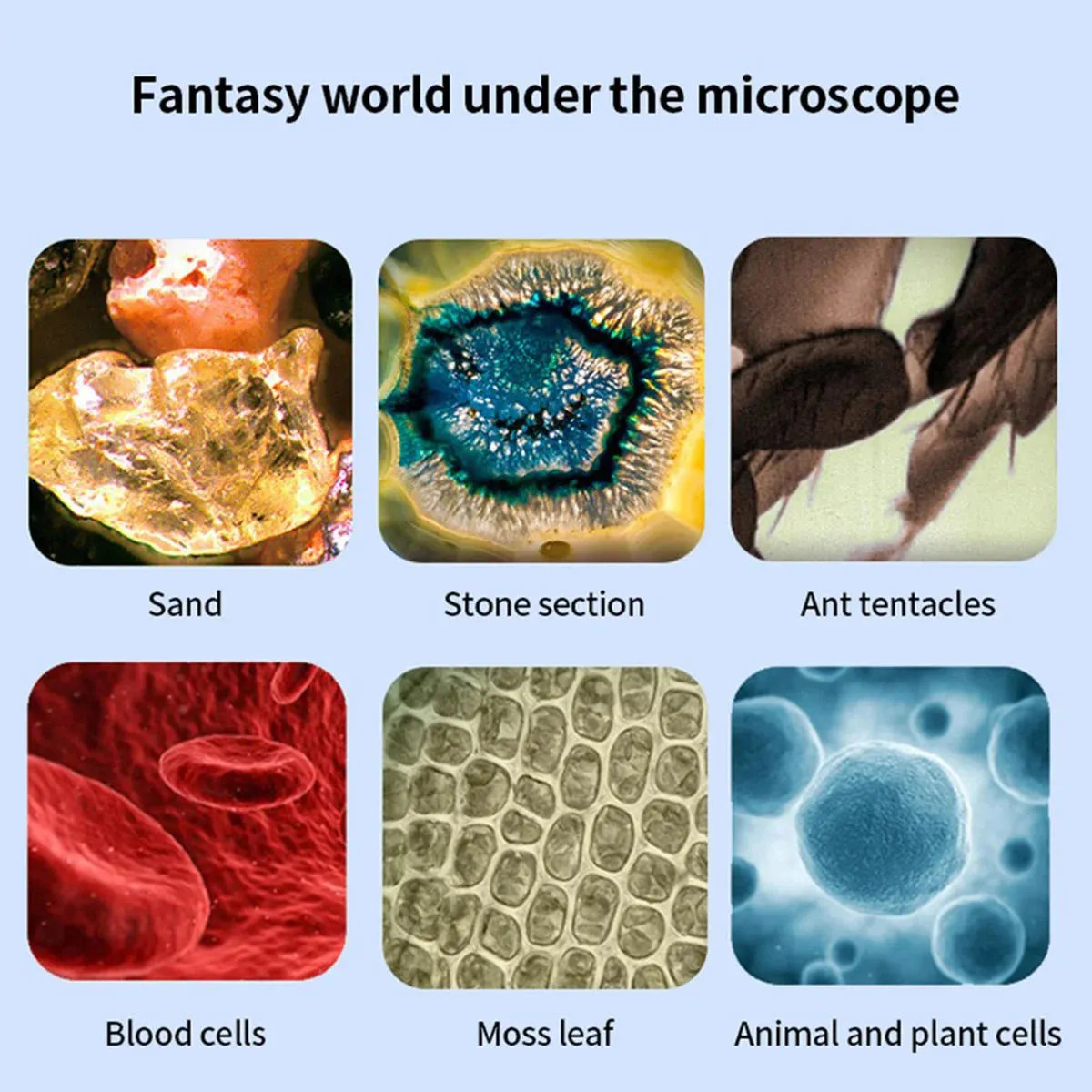 Pocket Microscope Mini Handheld Microscope Children's Microscope 60-120x