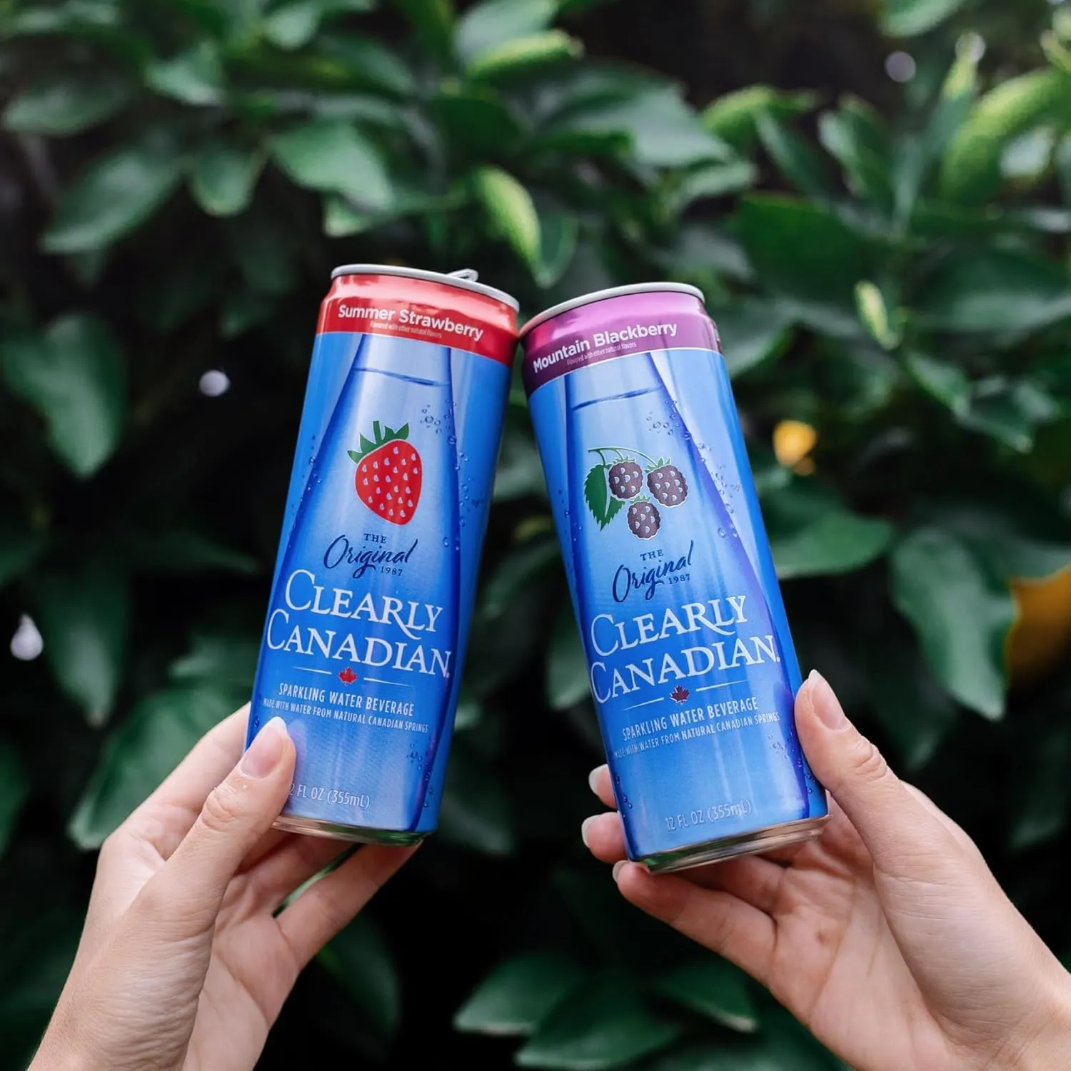 Sparkling Water Beverage Wild Cherry & Mountain Blackberry, Made with Water from Natural Canadian Springs (12 cans x 12 FL OZ)