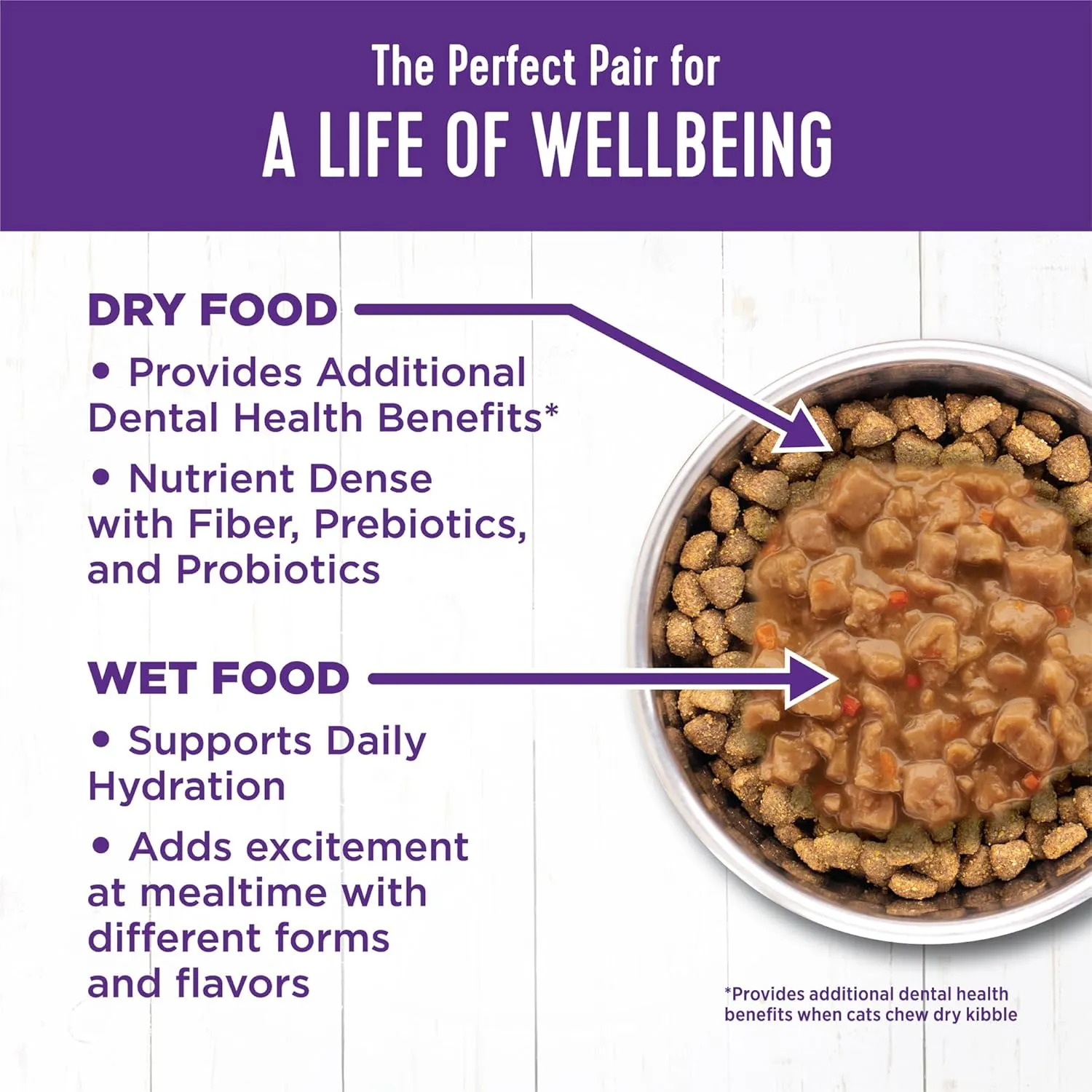 Wellness Complete Health Gravy Adult Wet Cat Food, Natural, Protein-Rich, Grain Free, 3 Ounce , 12 Pack, (Chicken & Tuna Dinner)