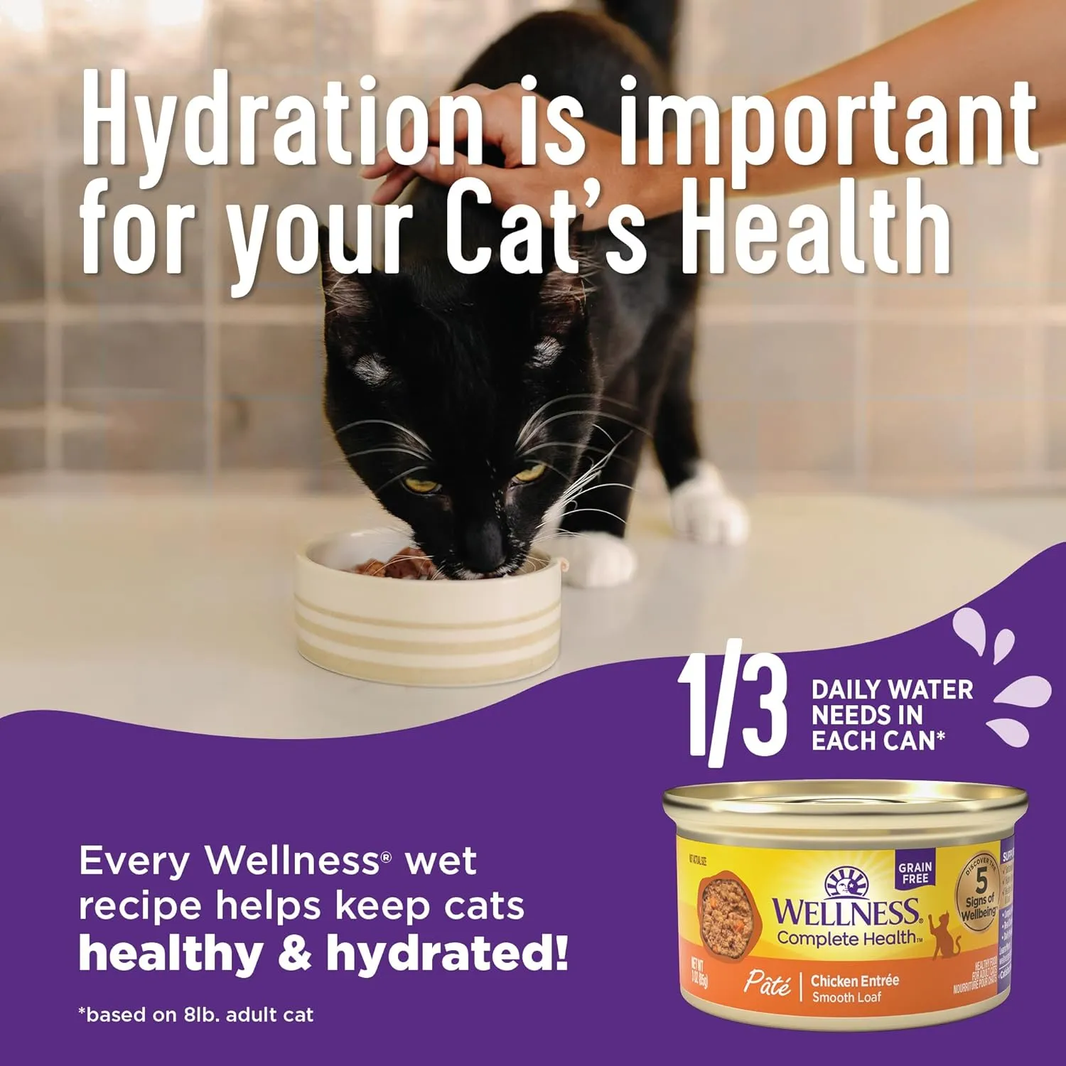 Wellness Complete Health Gravy Adult Wet Cat Food, Natural, Protein-Rich, Grain Free, 3 Ounce , 12 Pack, (Chicken & Tuna Dinner)