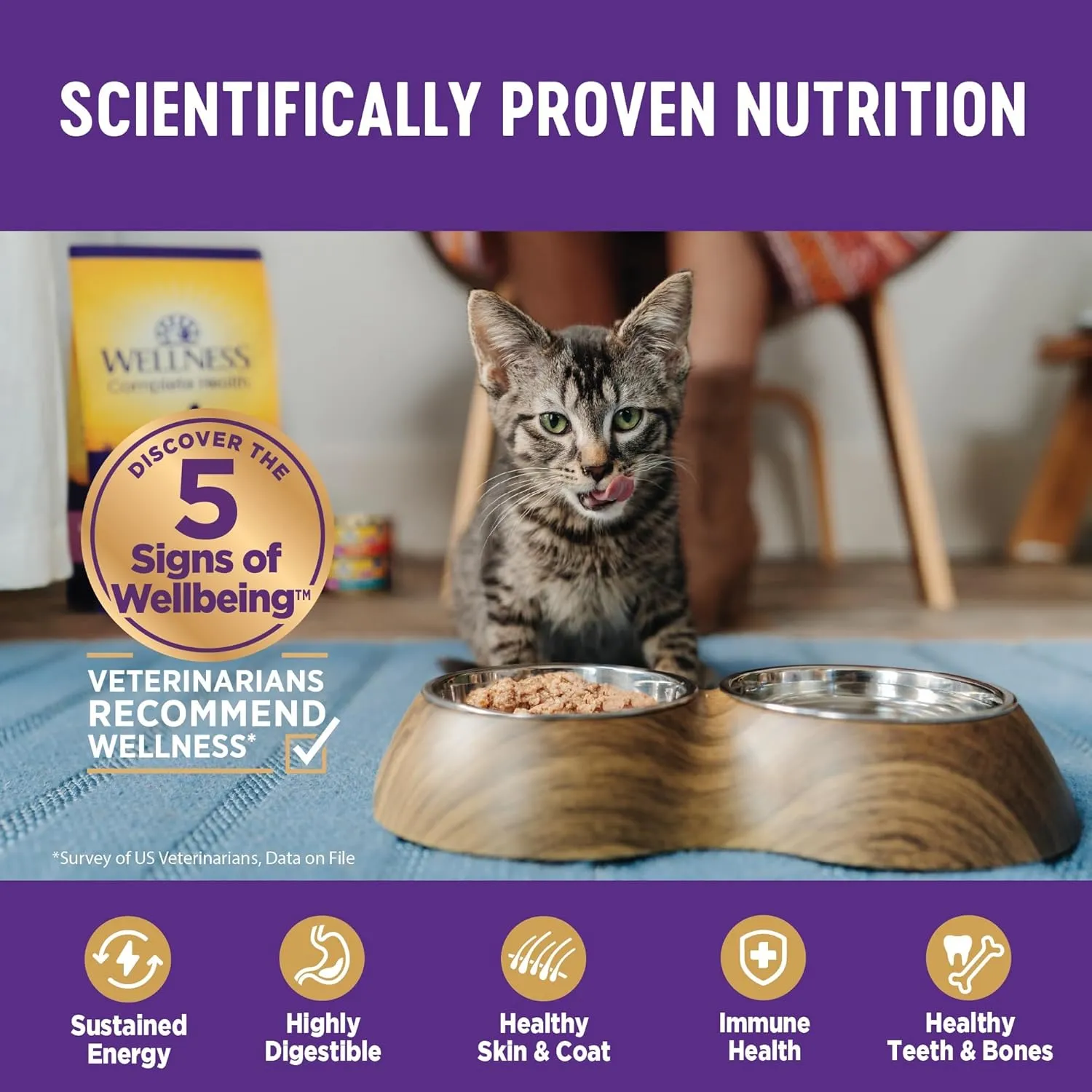 Wellness Complete Health Pate Adult Wet Cat Food, Natural, Protein-Rich, Grain-Free, 3 Ounce, 12 Pack, (Seafood Variety Pack)
