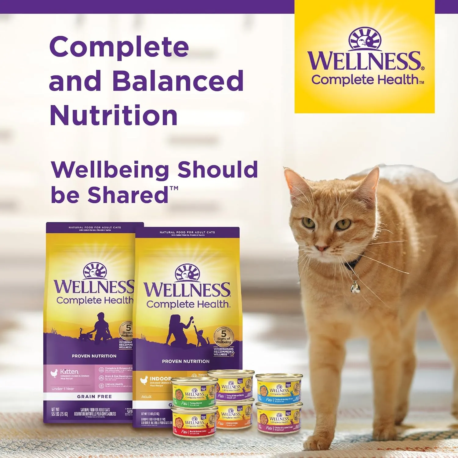 Wellness Complete Health Pate Adult Wet Cat Food, Natural, Protein-Rich, Grain-Free, 3 Ounce, 12 Pack, (Seafood Variety Pack)